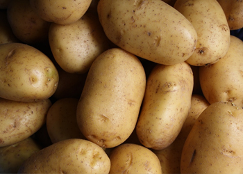 Fresh Potato