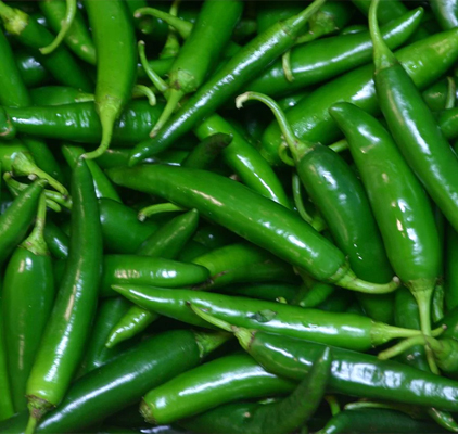 Green Chilly
