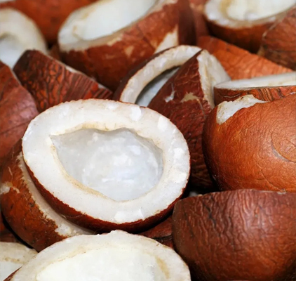 Dry Coconut